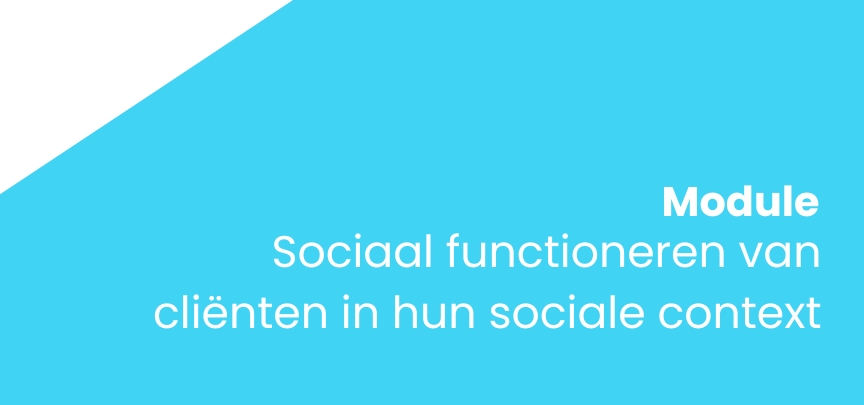 Sociaal functioneren van cliënten in hun sociale context 